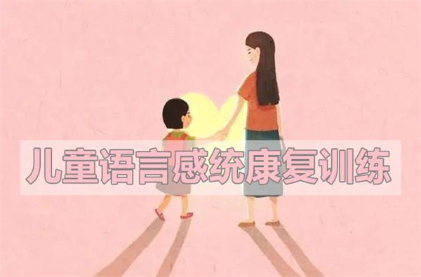 武汉宝宝语言迟缓个训和感统