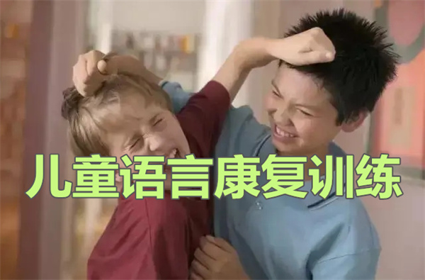 成都孩子不会说话去哪看