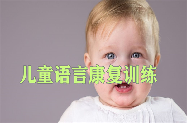 济南专业的儿童语言发育迟缓辅导机构